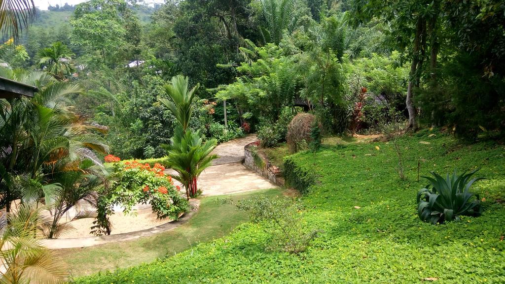 Tea Leaf Retreat Apartment Kandy Exterior foto