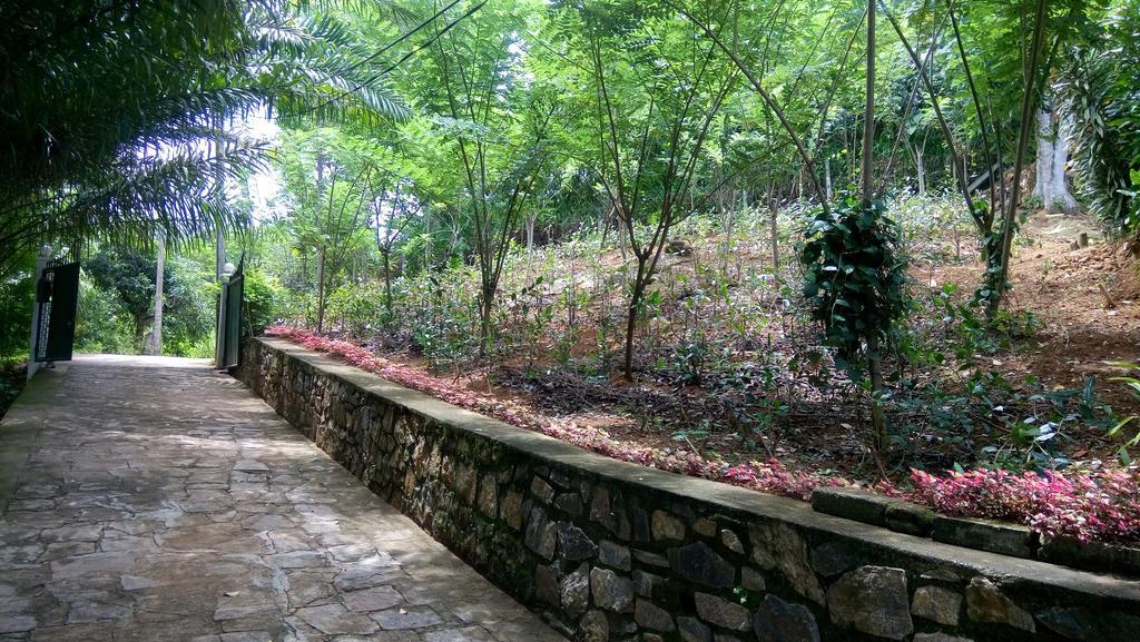Tea Leaf Retreat Apartment Kandy Exterior foto